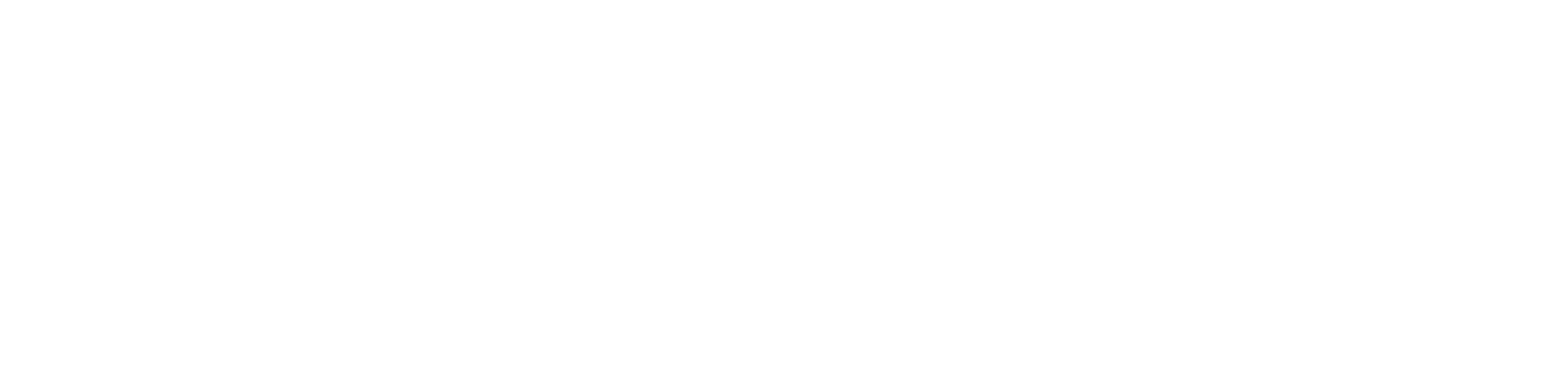 Noise Foundation